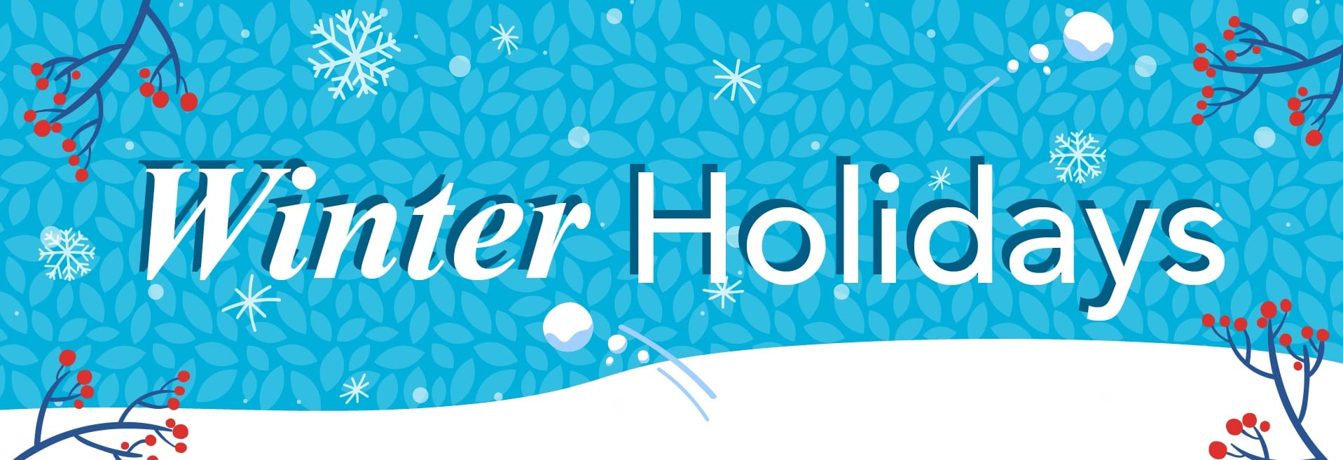 December_WebsiteBanner Winter Holidays