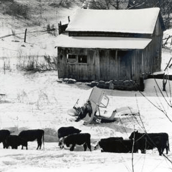 Winter at a farm